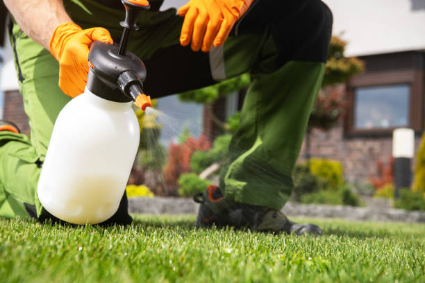Best Emergency Pest Control  in Whitmore Lake, MI