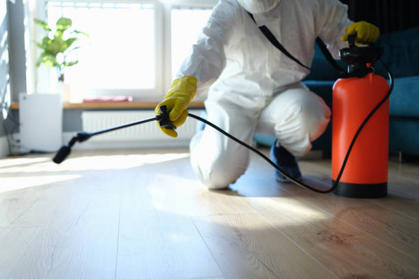 Best Flea Control Services  in Whitmore Lake, MI