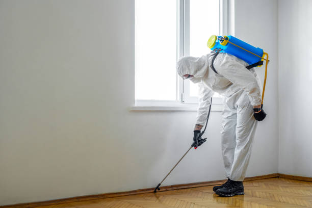 Best Affordable Pest Control Services  in Whitmore Lake, MI