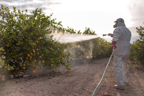Best Bed Bug Extermination  in Whitmore Lake, MI