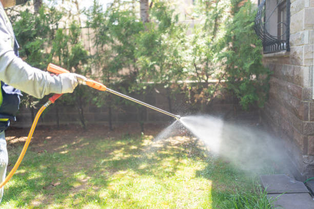 Best Wasp Removal Services  in Whitmore Lake, MI