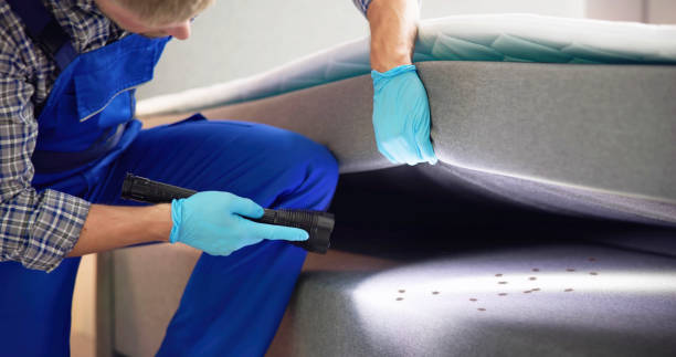 Pest Control Cost in Whitmore Lake, MI