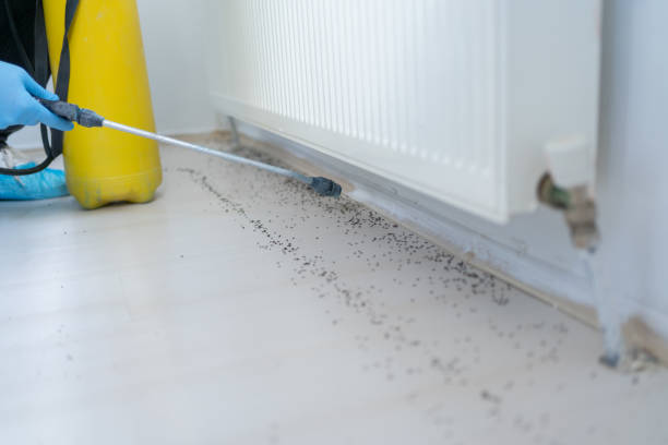 Best Commercial Pest Control Services  in Whitmore Lake, MI